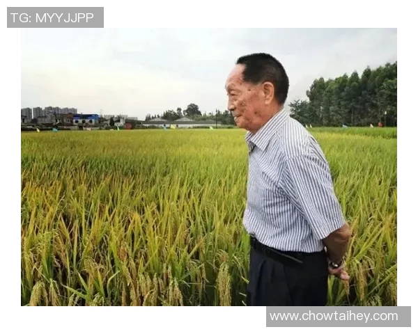 绵阳南山中学足球明星的成长之路与梦想追逐的精彩故事